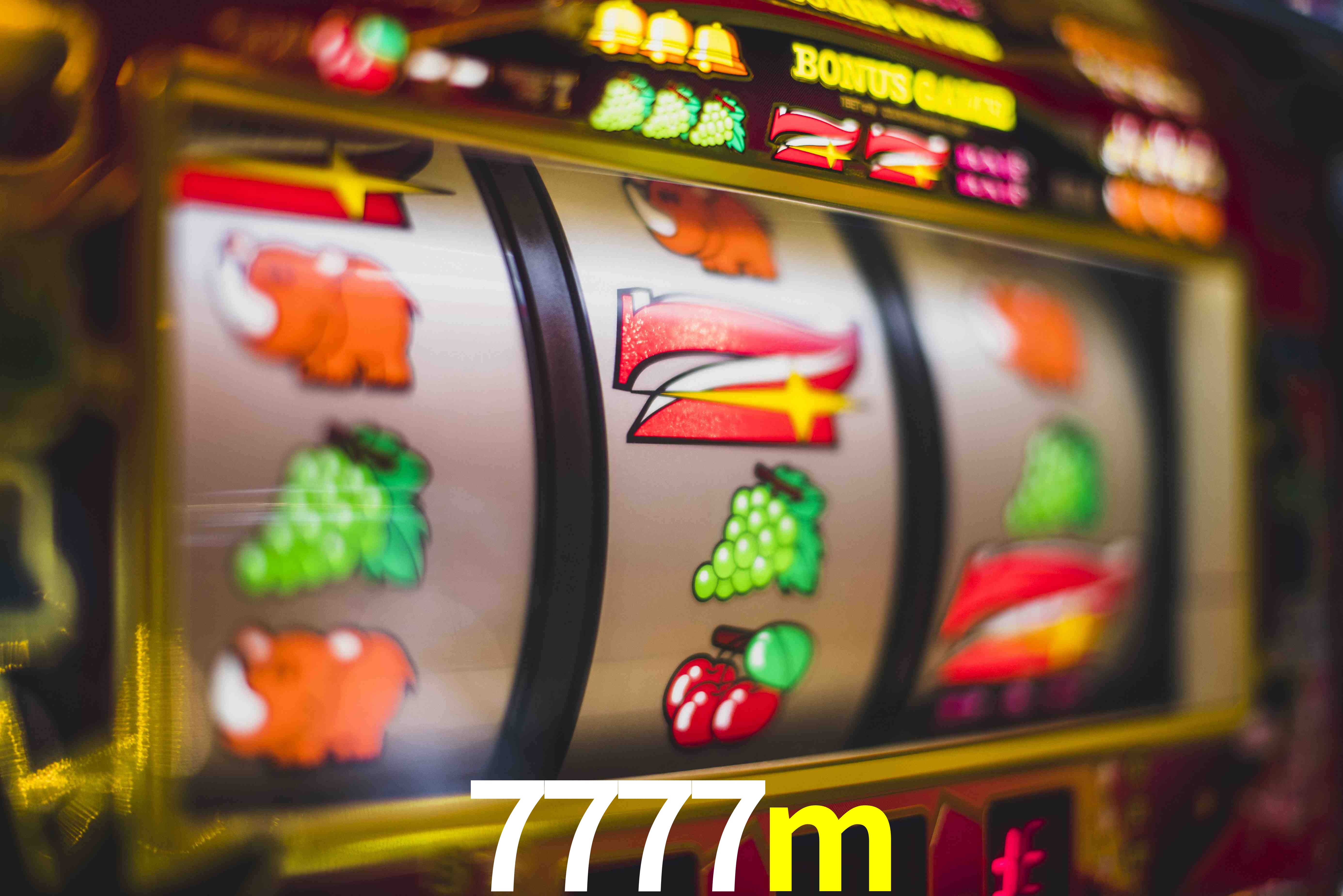 Sports Statistics 7777m